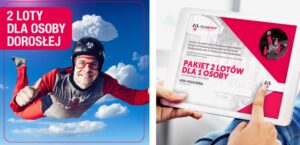 flyspot grafika
